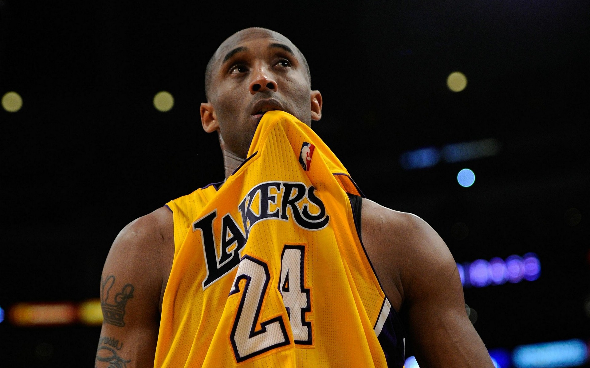 取关键信息 取关键信息