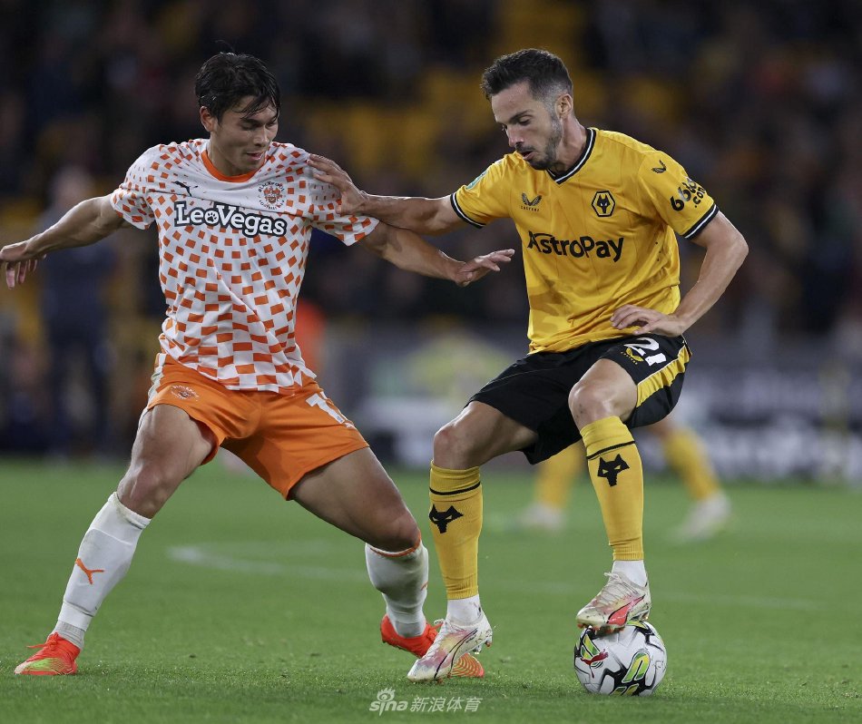 还是放任他 还是放任他